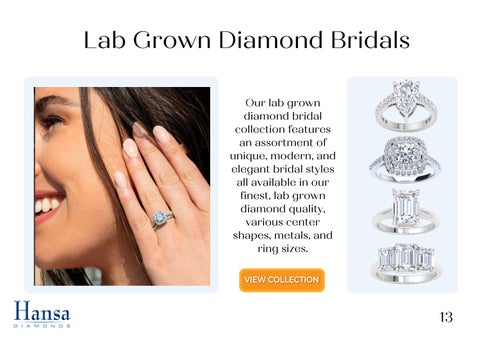 Hansa Diamonds Ecomm Presentation 第 14 页