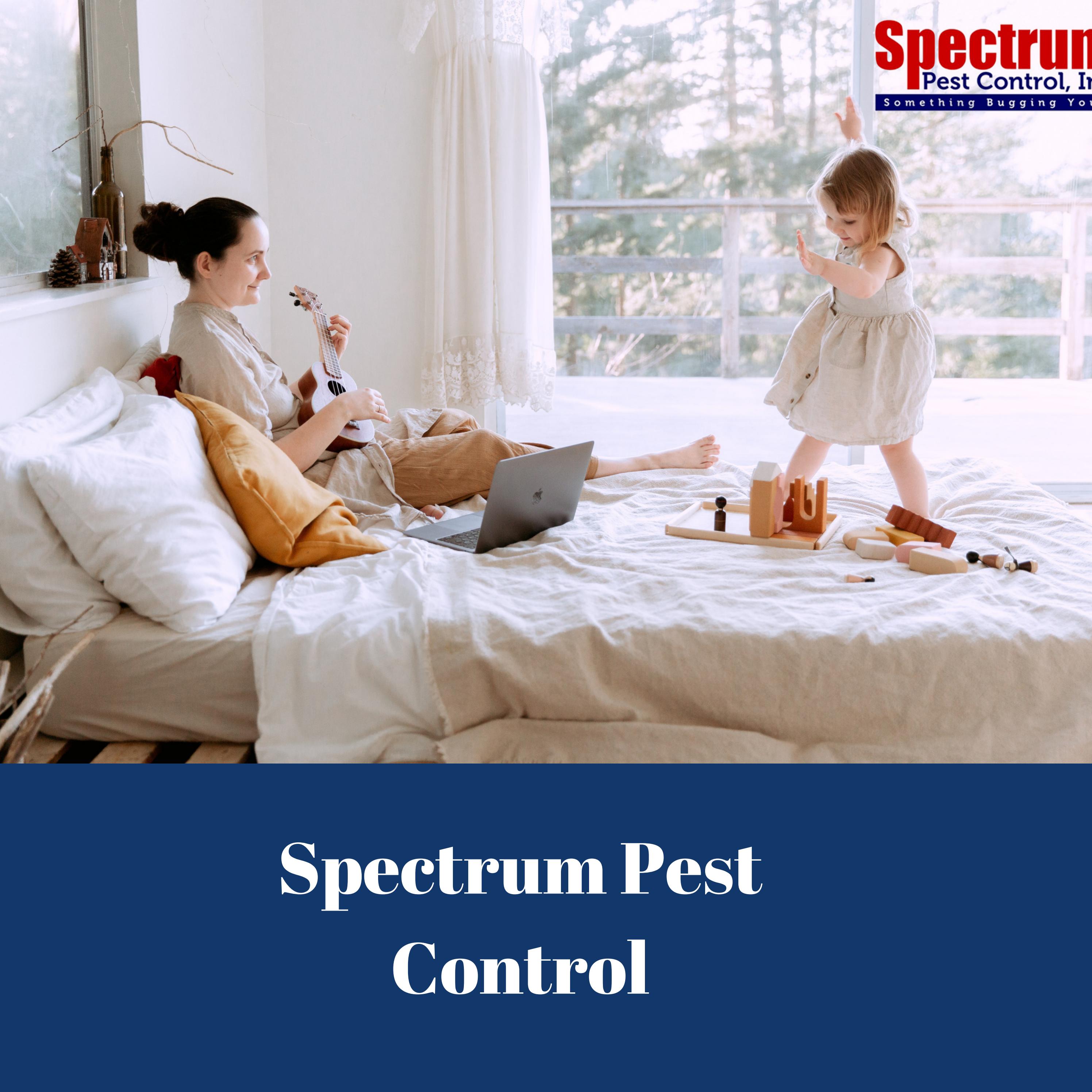 Spectrum Pest Control by spectrumpest1 Issuu