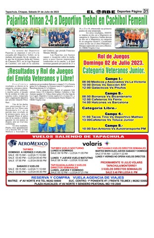 Page 31