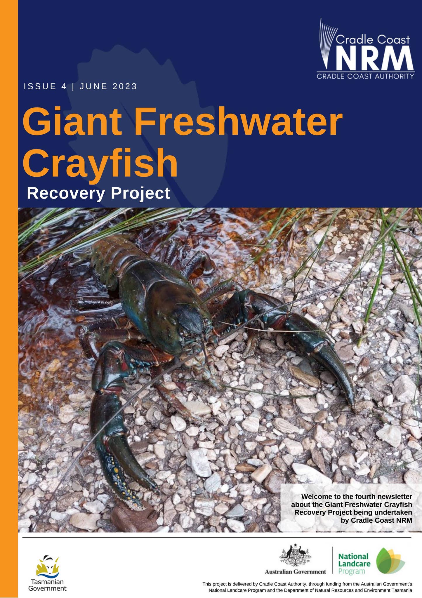 Giant Freshwater Crayfish Recovery Project - newsletter issue 4 June ...