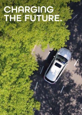 Green Mobility Cars - Unsere Leistungen 第 2 页