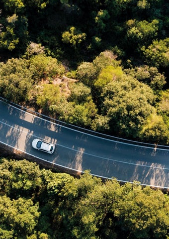 Green Mobility Cars - Unsere Leistungen 第 8 页