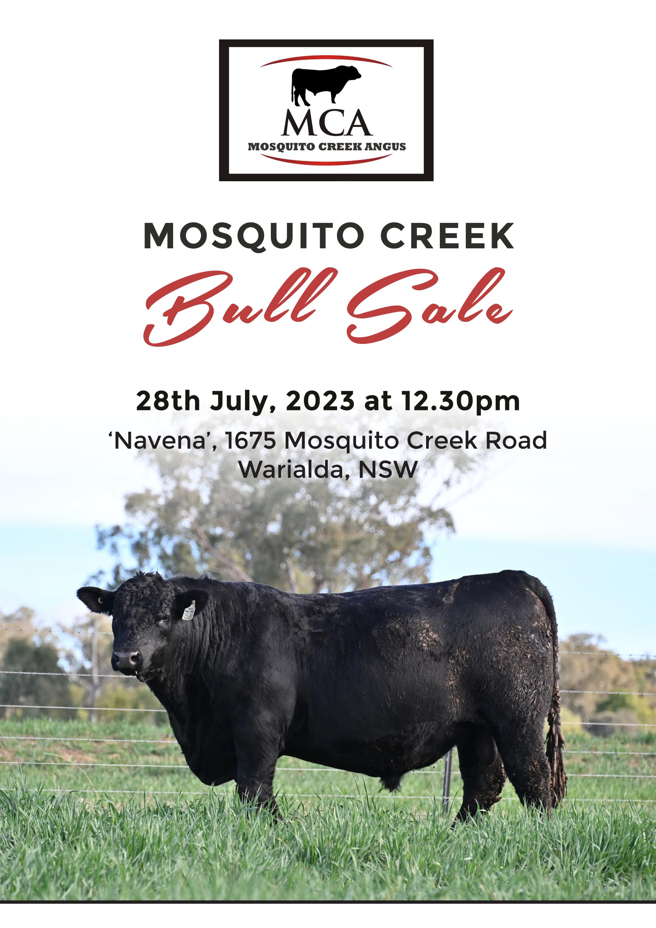 Mosquito Creek Angus Catalogue 2023 by Angus Australia Issuu