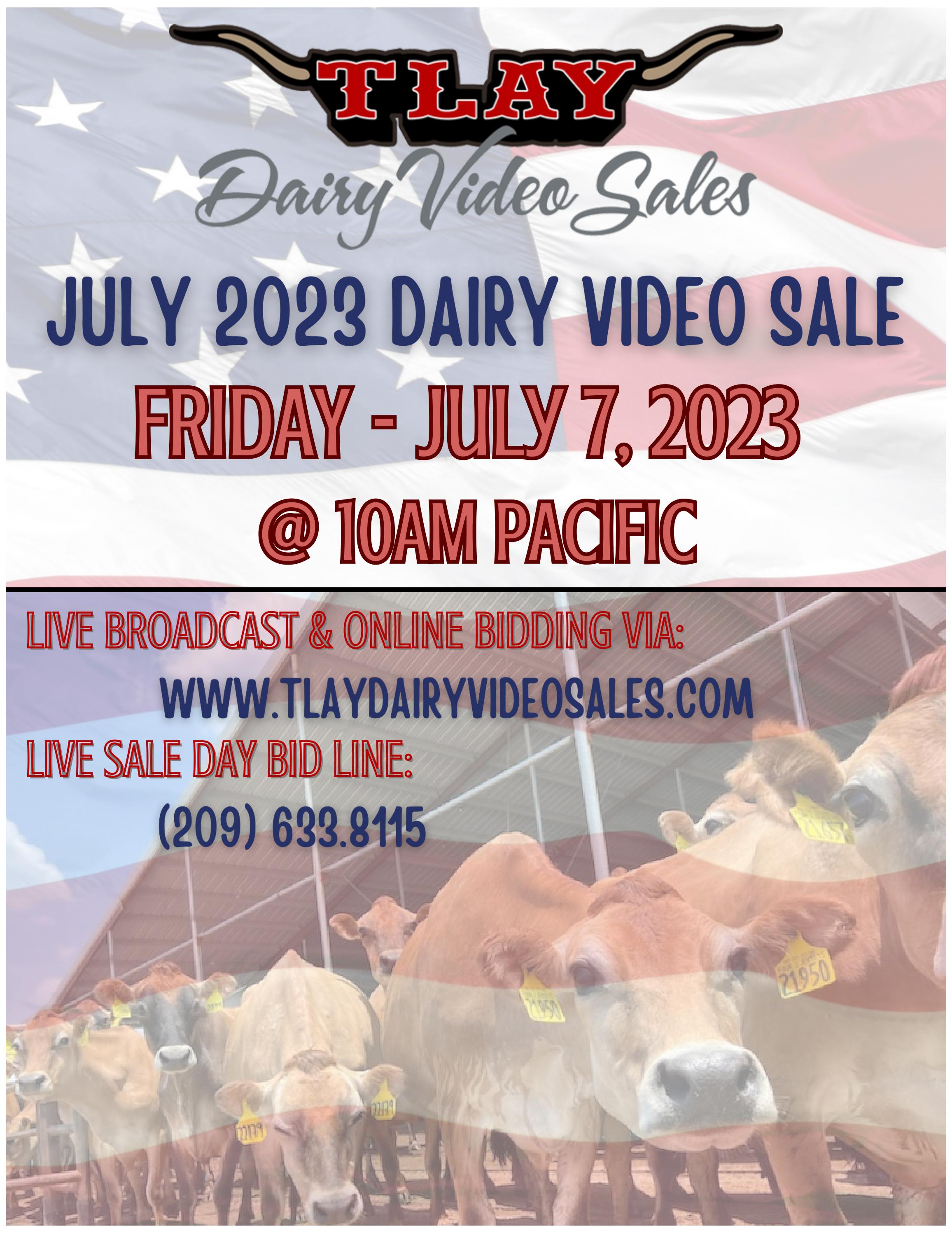 JULY 2023 DVS by TURLOCK LIVESTOCK AUCTION YARD Issuu