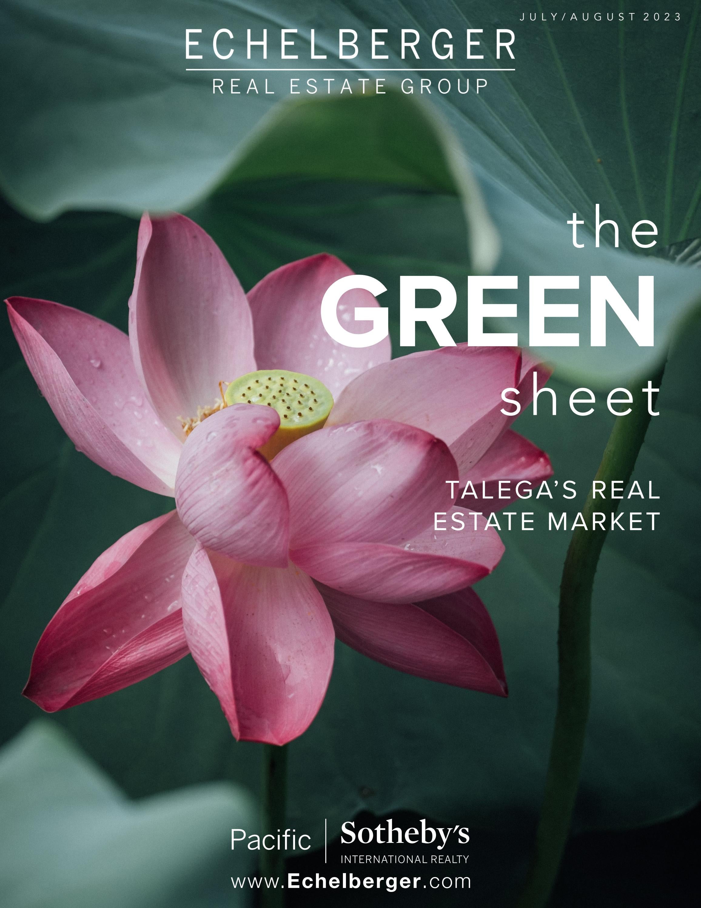 the GREEN sheet July/Aug 2023 by Echelberger Group Issuu