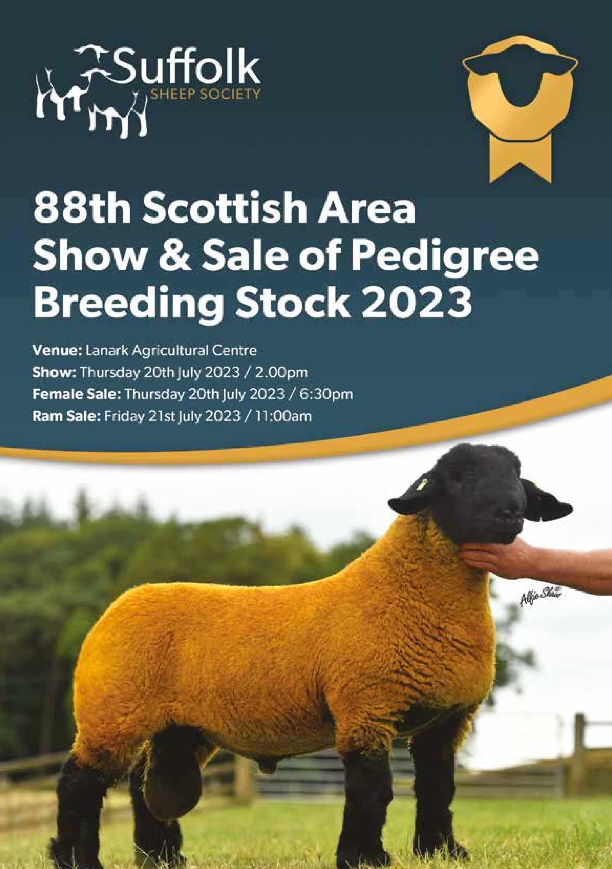 SAB Show & Sale of Suffolk Sheep Catalogue July 2023 by lawrieand