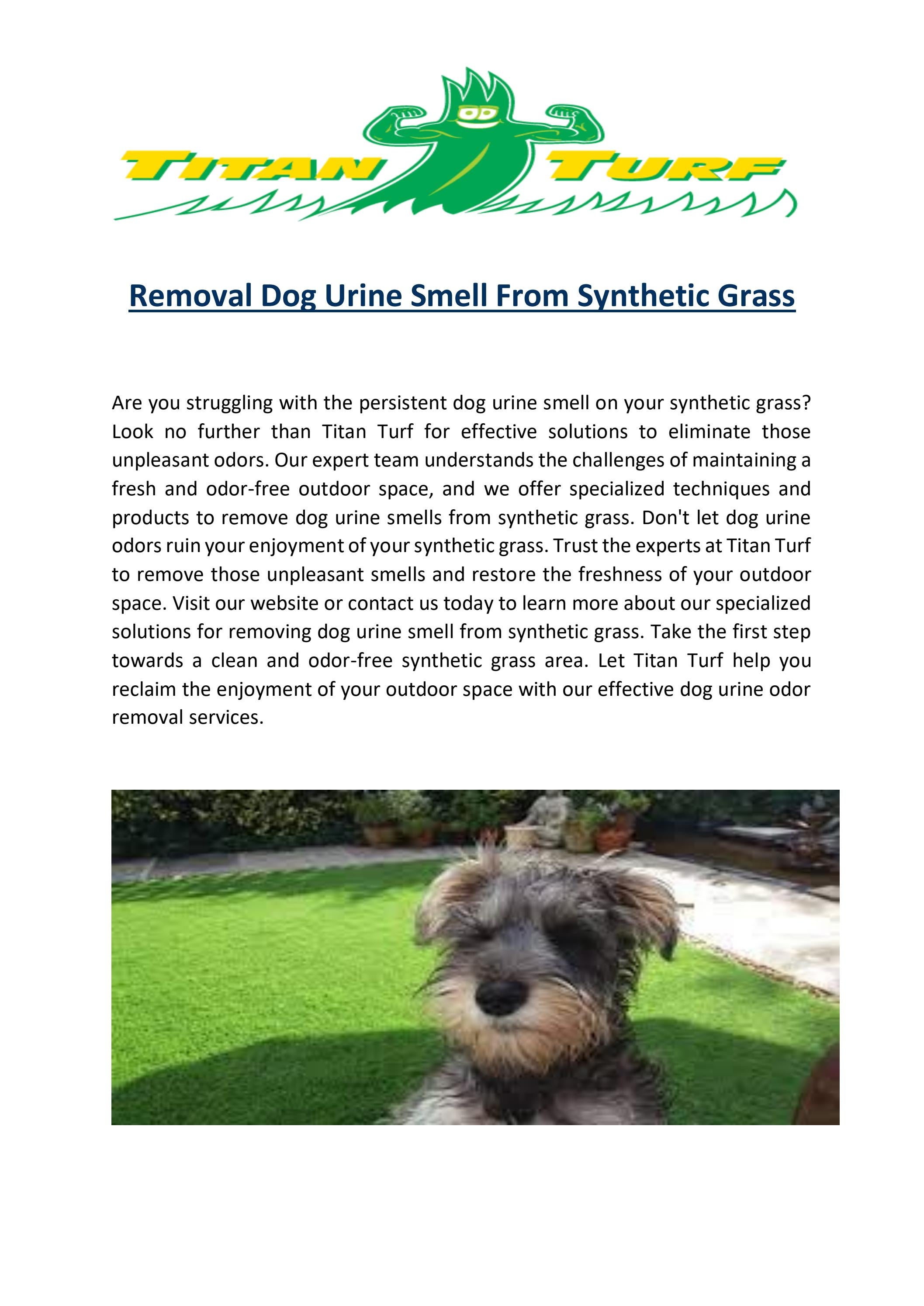 Removal Dog Urine Smell From Synthetic Grass by Titan Turf Issuu