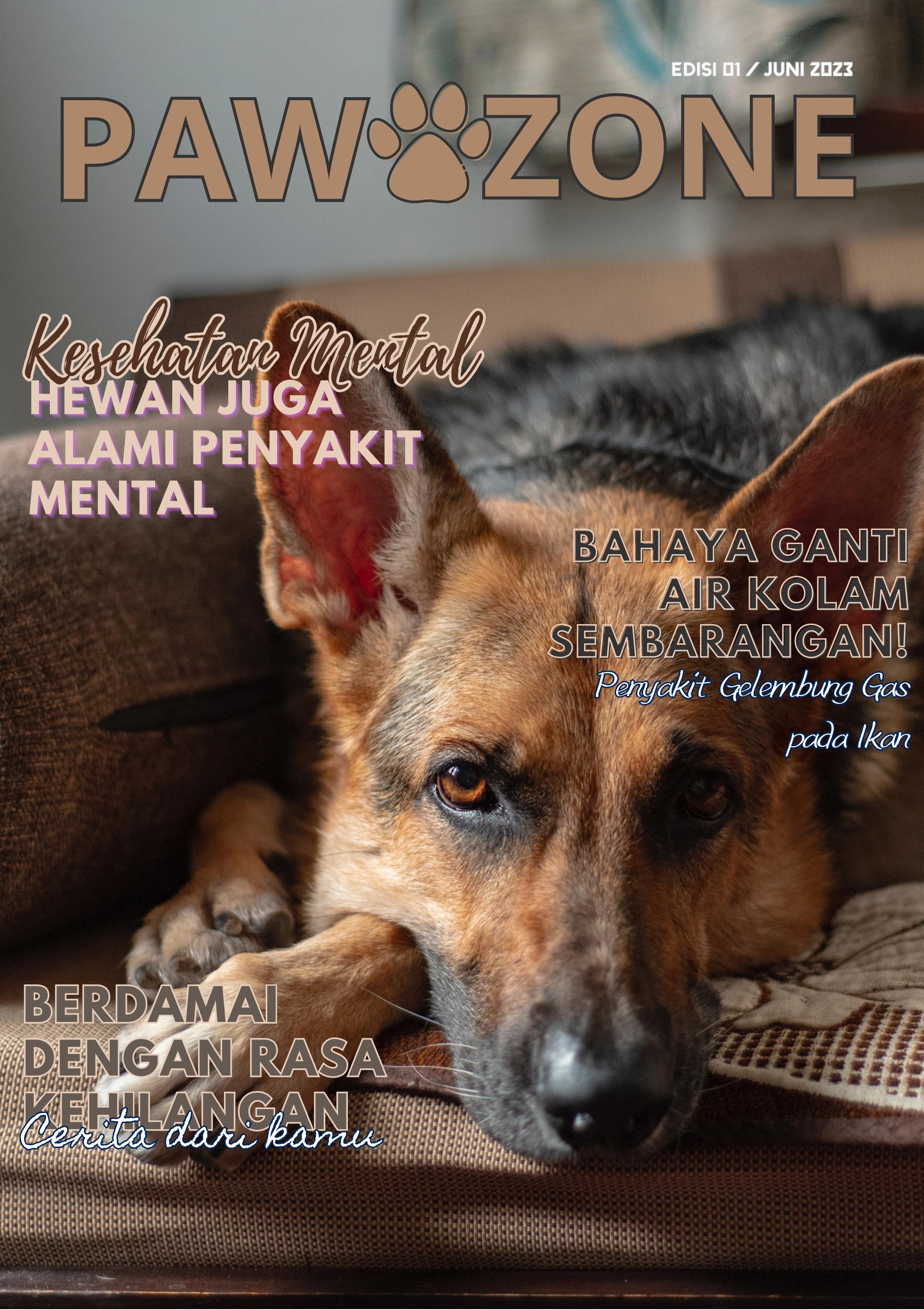 Paw Zone Edisi 1 by Nadiyah Dzakirah Issuu