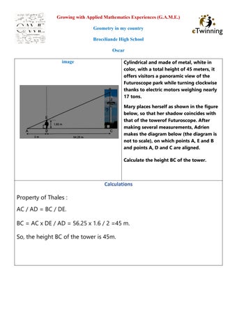Page 31