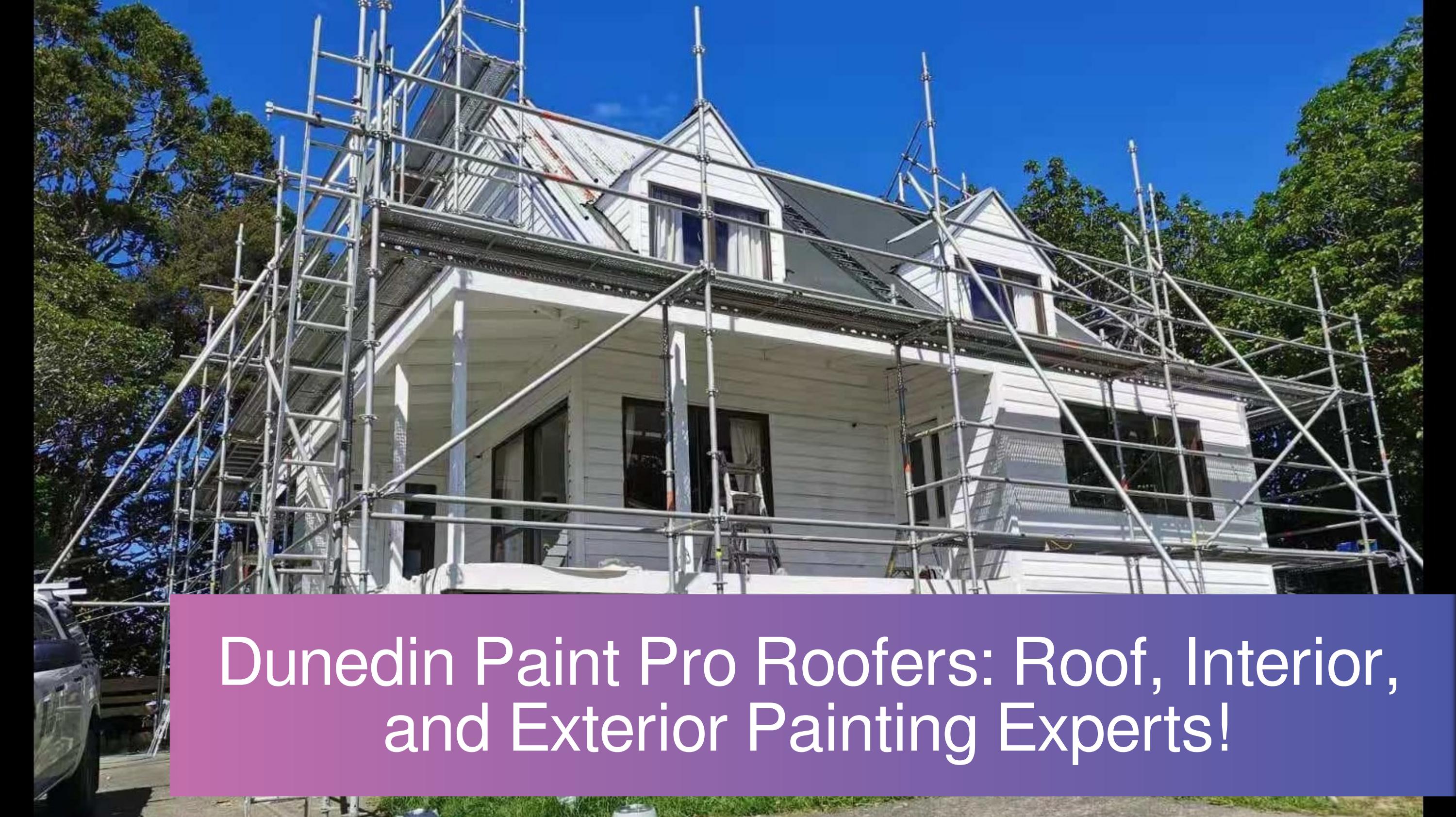 Transform Your Dunedin Roof with Dunedin Paint Pro Roofers! by gennajenkins241451 Issuu