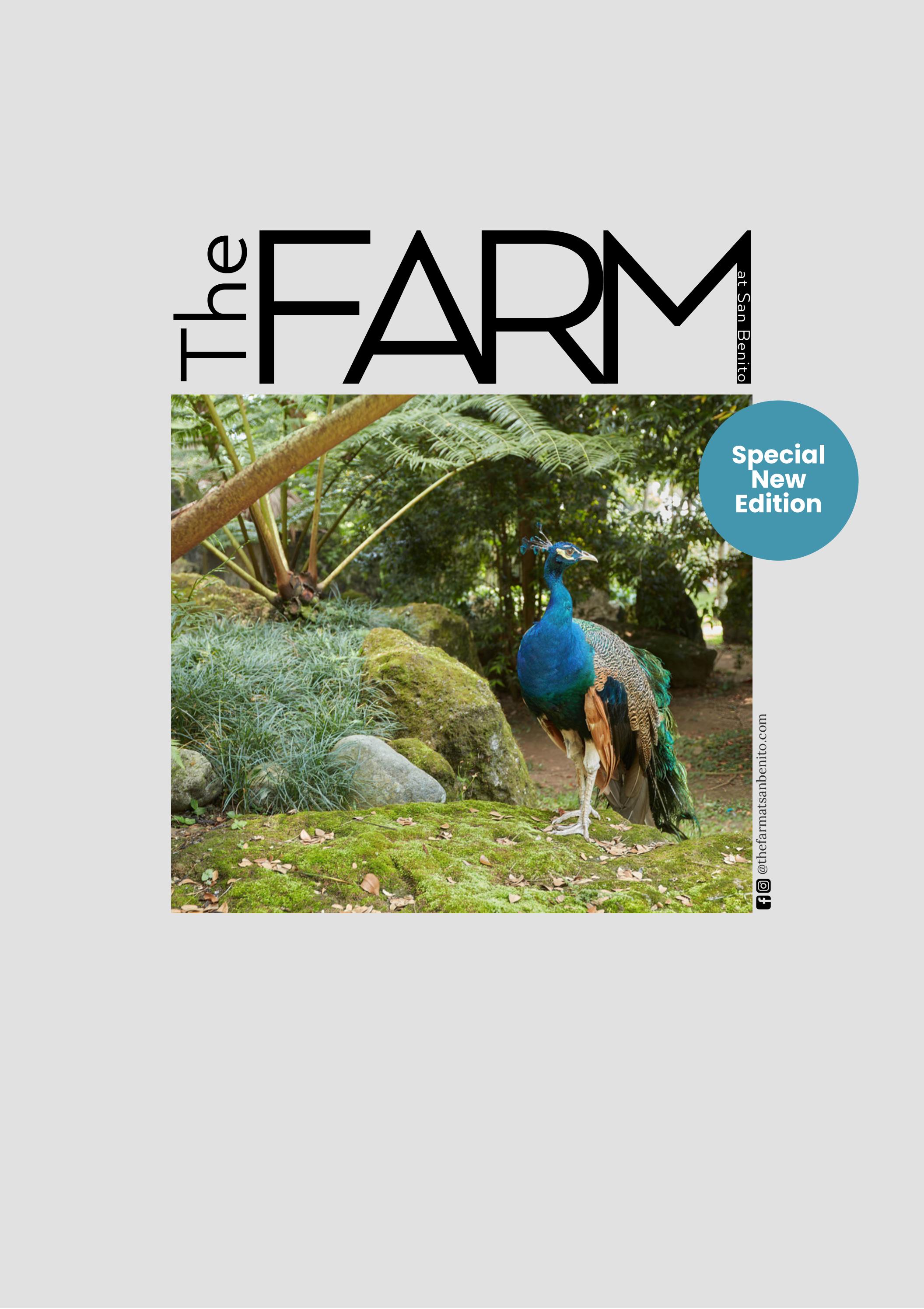 Untitled Design by The Farm at San Benito - Issuu