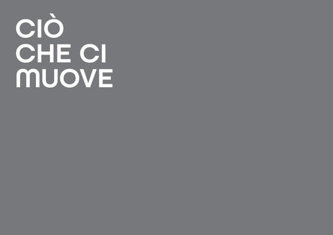 CI Guideline 意文 第 22 页