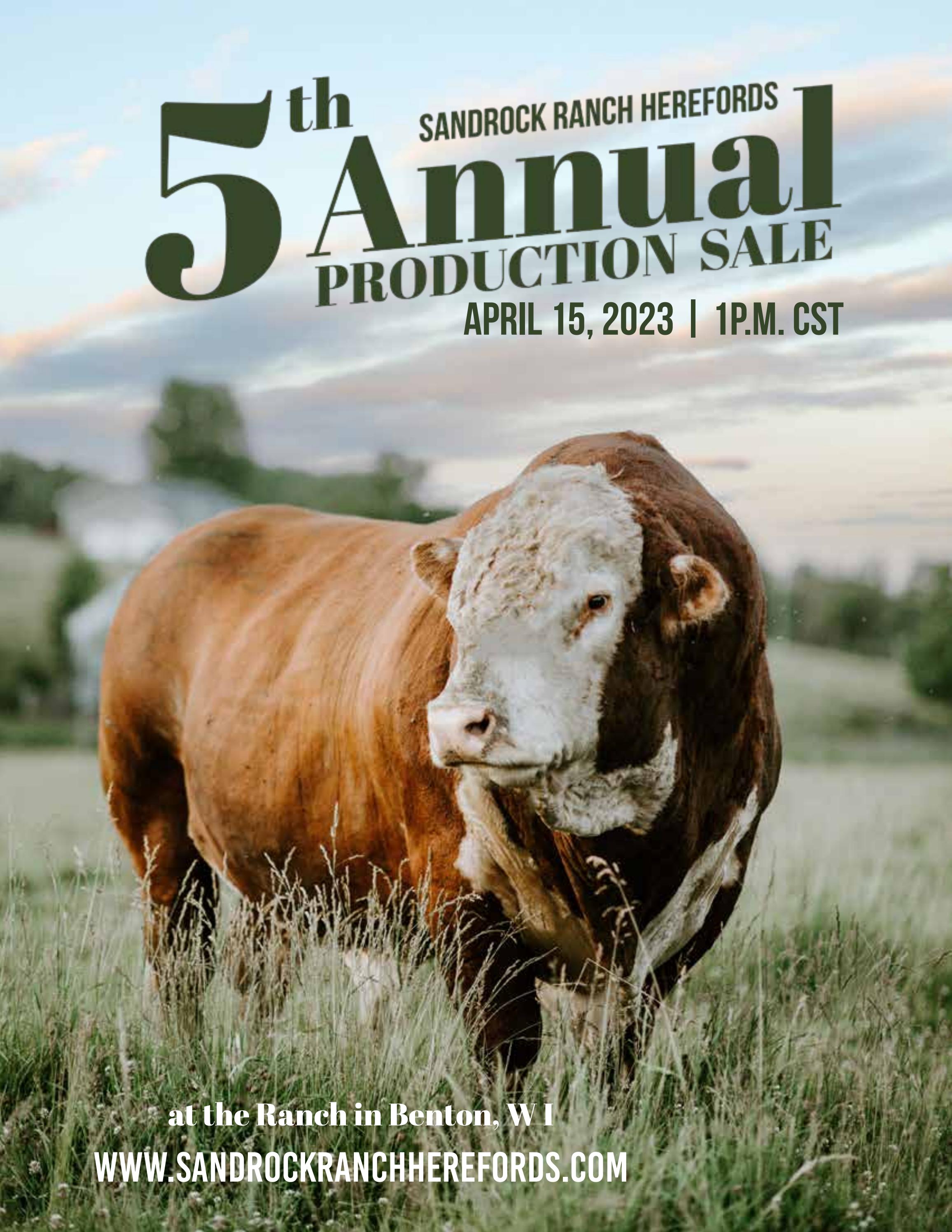 SRR 5th Annual Production Sale Catalog by sandrockranch - Issuu