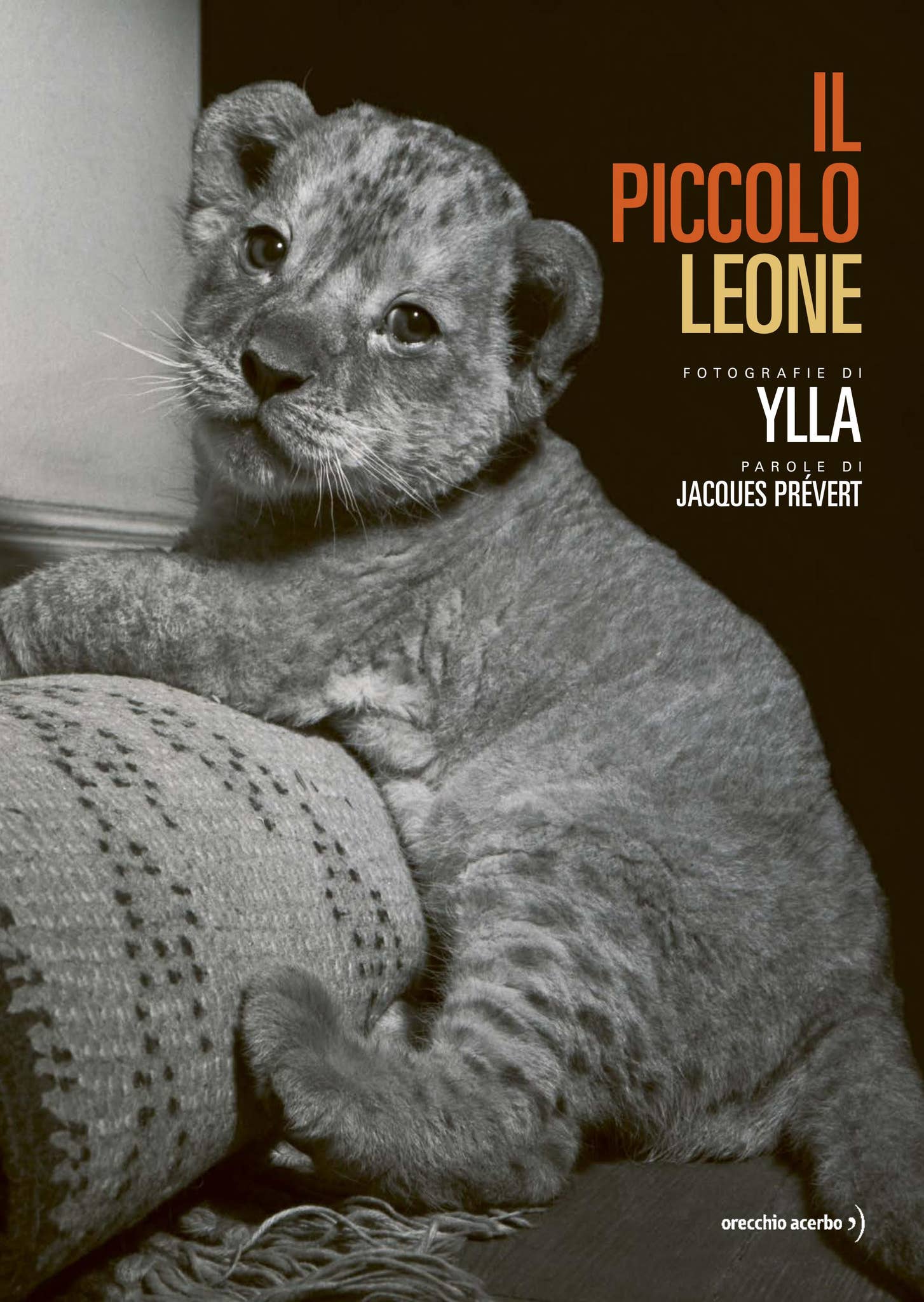 "Il piccolo leone" - anteprima by orecchioacerbo - Issuu