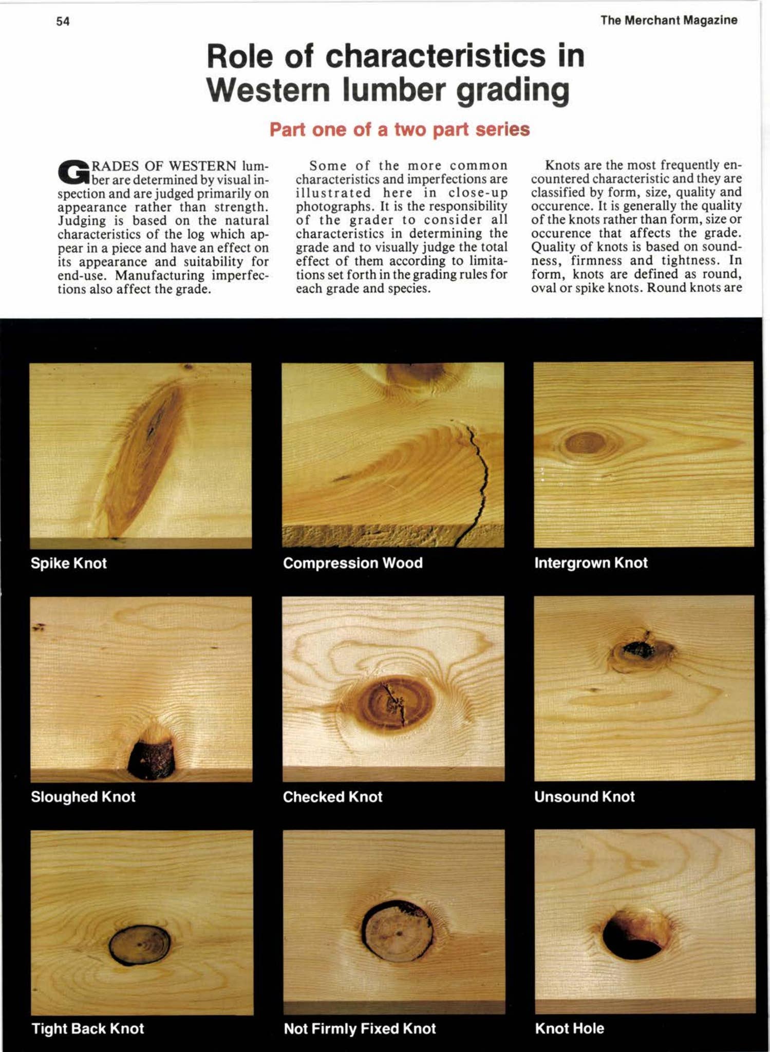 page_54_social_preview.jpg
