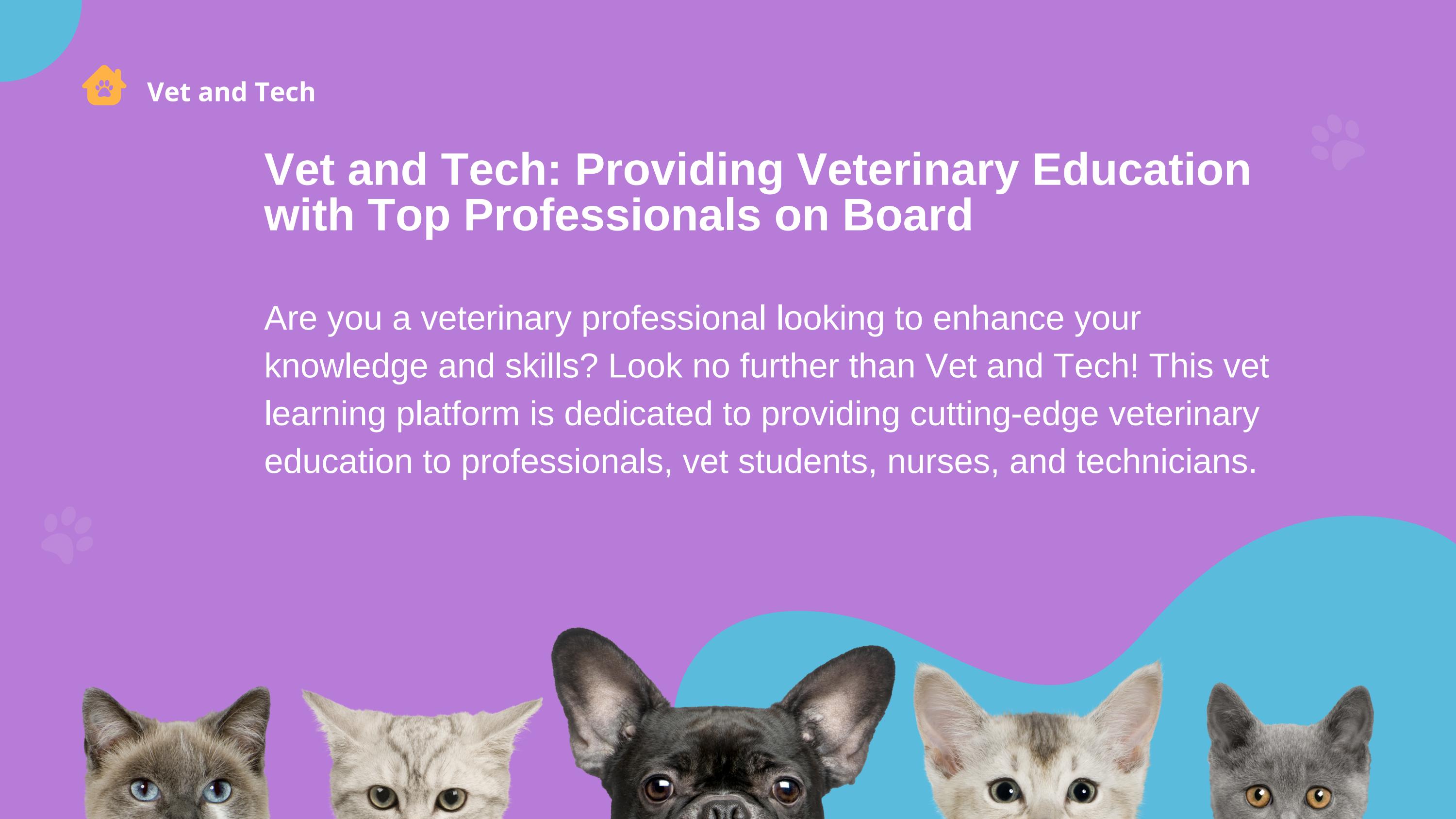 Vet and Tech Providing Veterinary Education With Top Professionals by
