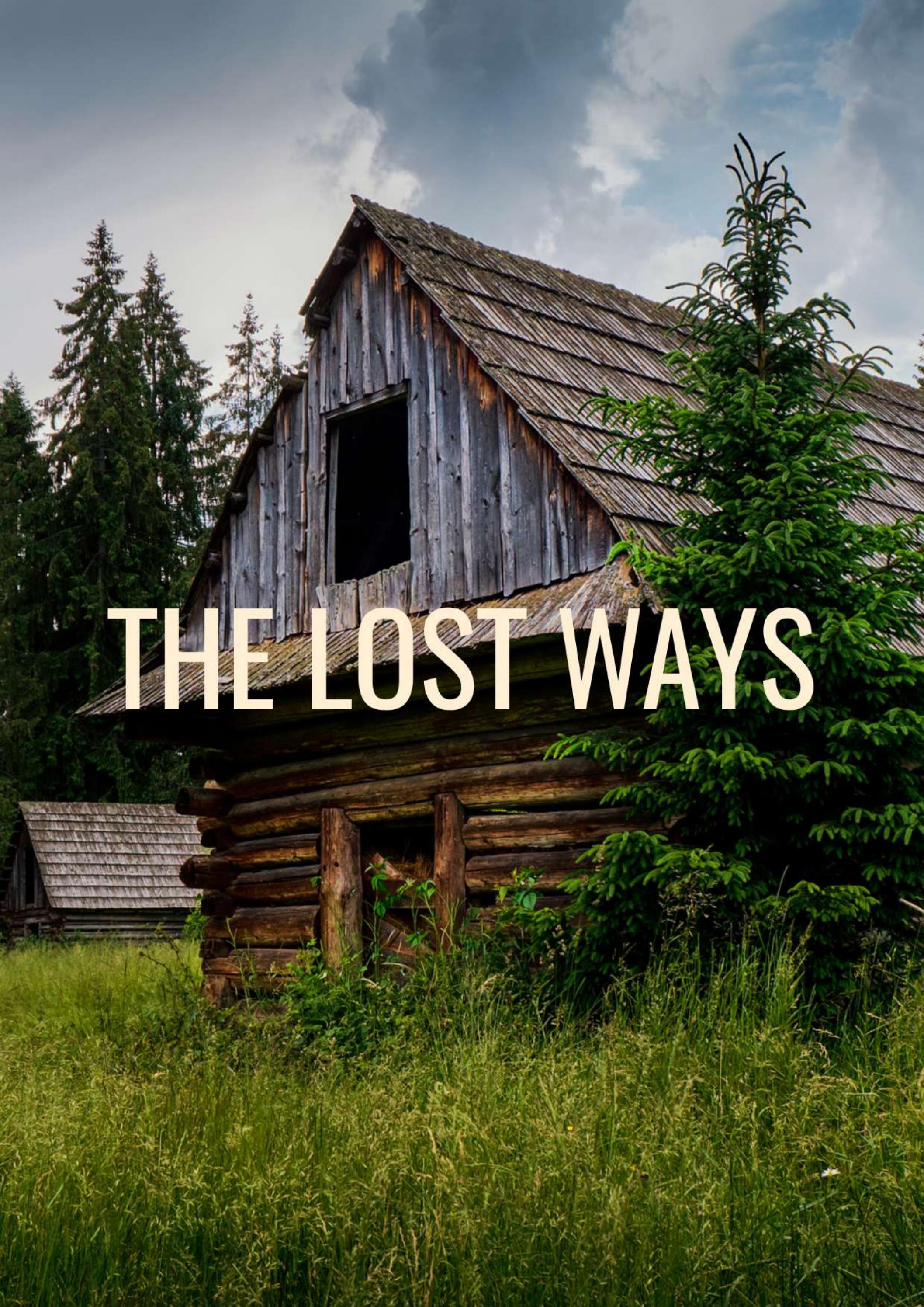 The Lost Ways Pdf Download Free The Lost Ways PDF Survival Book 2 by Claude Davis by PDF Booklets - Issuu
