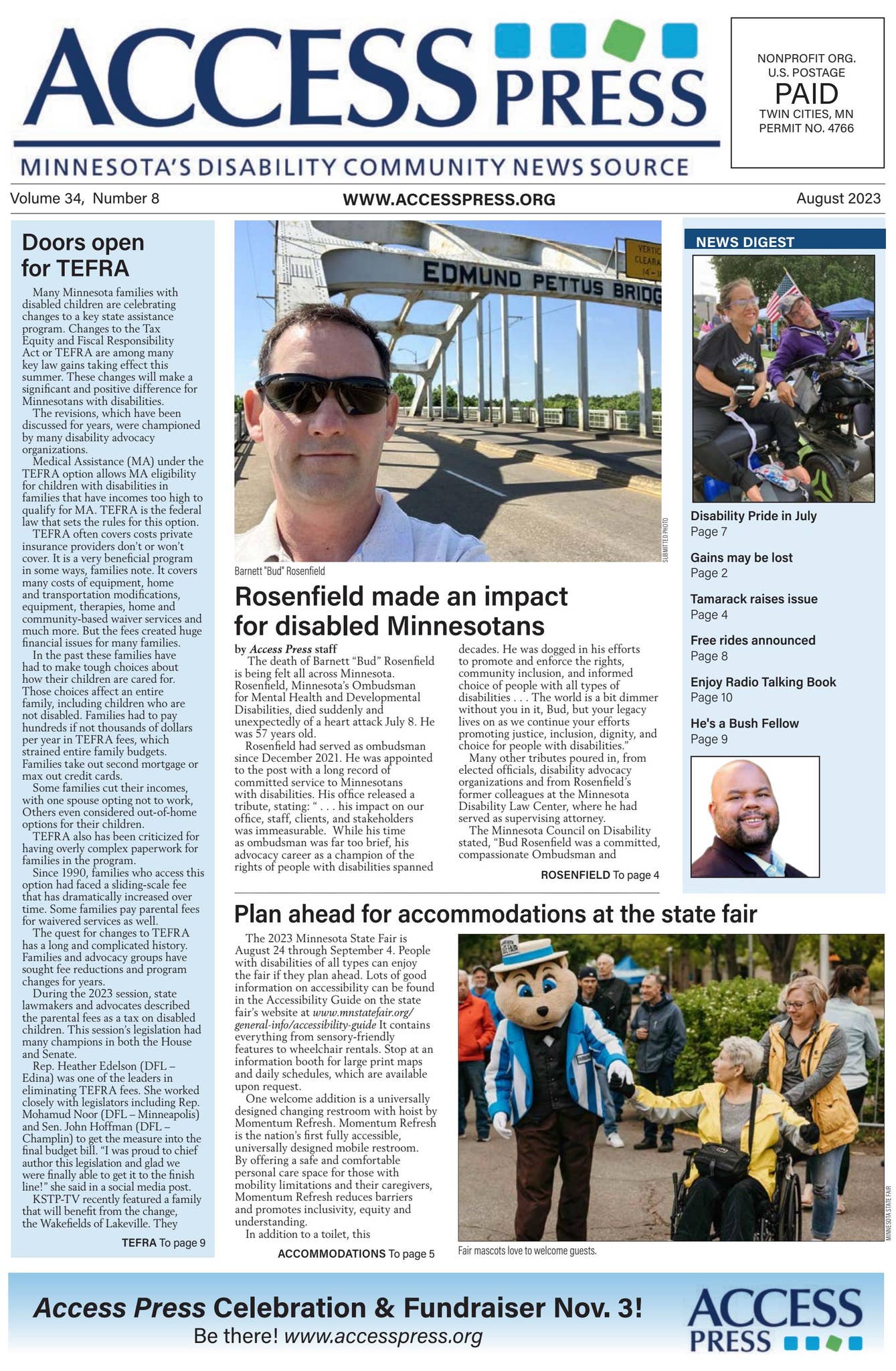 Raspberry Cheesecake Slices | UK