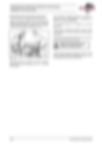 Page 206