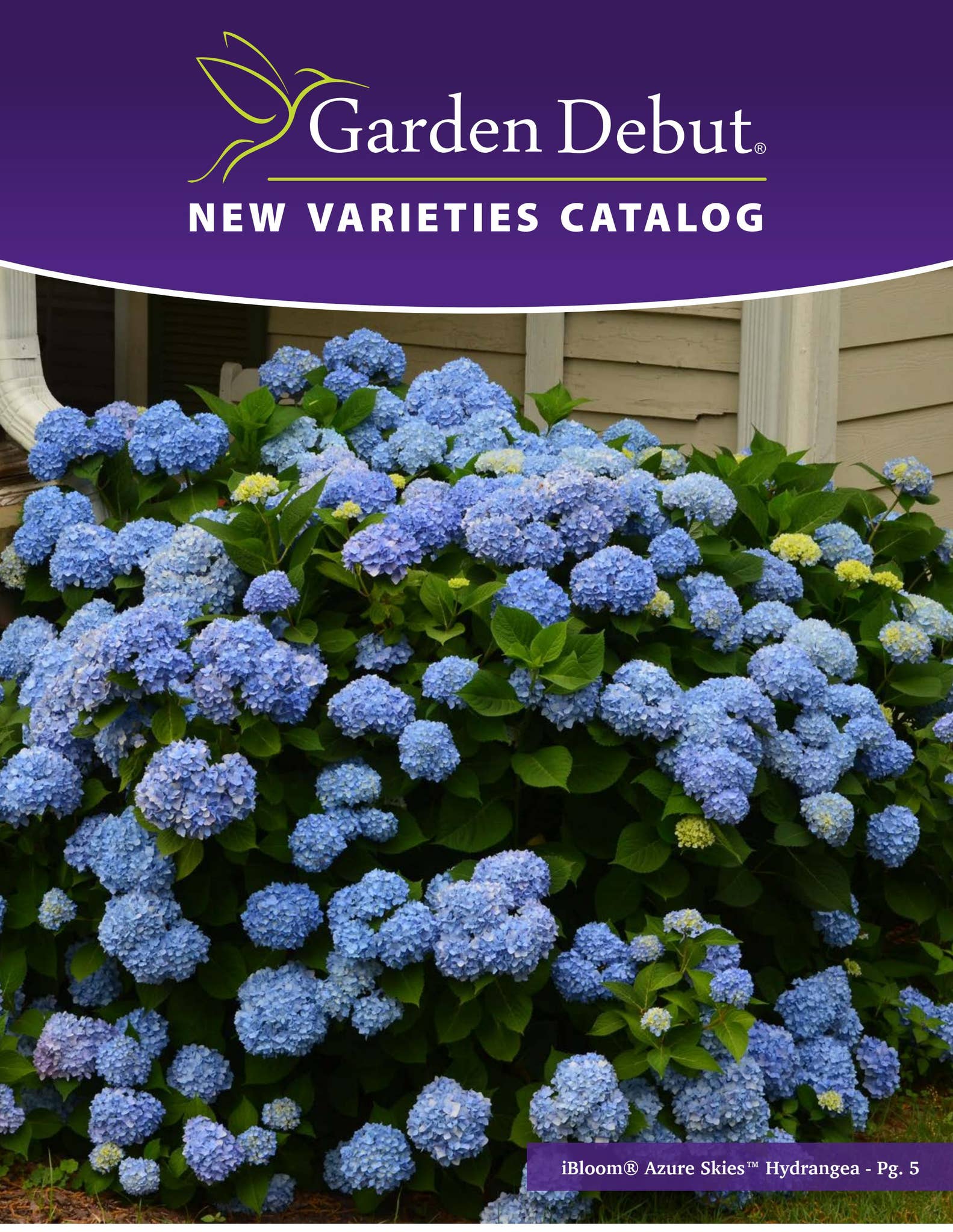 Garden Debut® New Varieties Catalog | 2023-24 by Garden