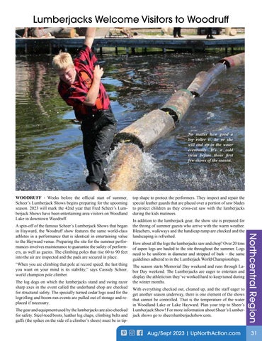 Page 31