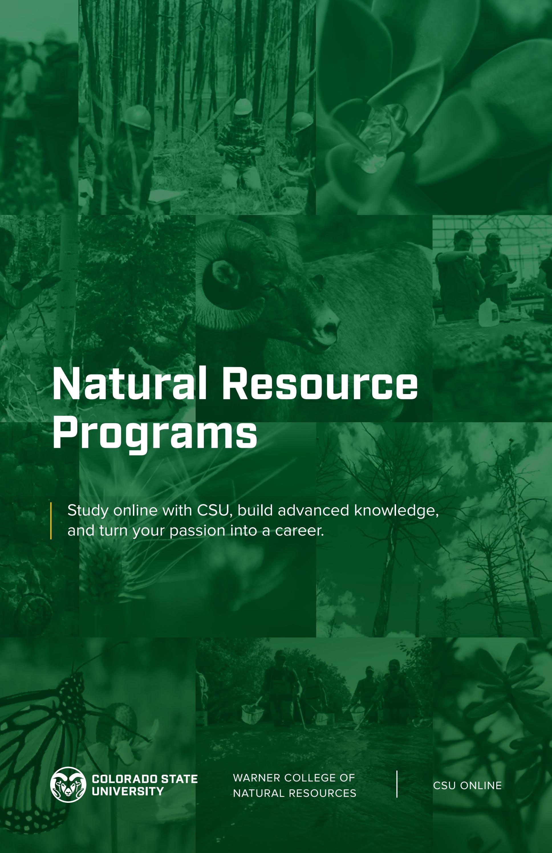 Natural Resource Programs by CSU Online Issuu