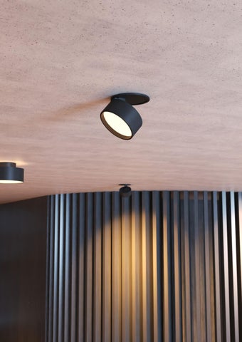 Archi Spots 第 11 页