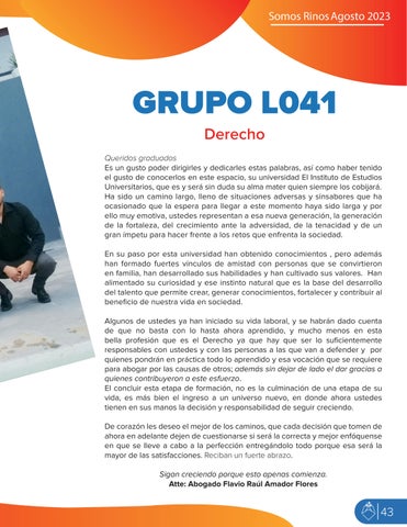 Page 43