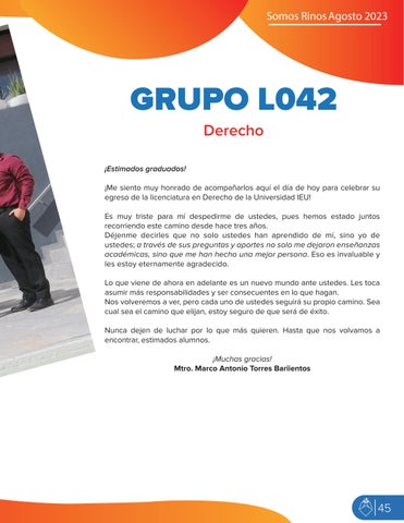 Page 45