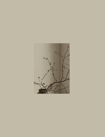 EVER / MORE kollektion 2023 第 4 页