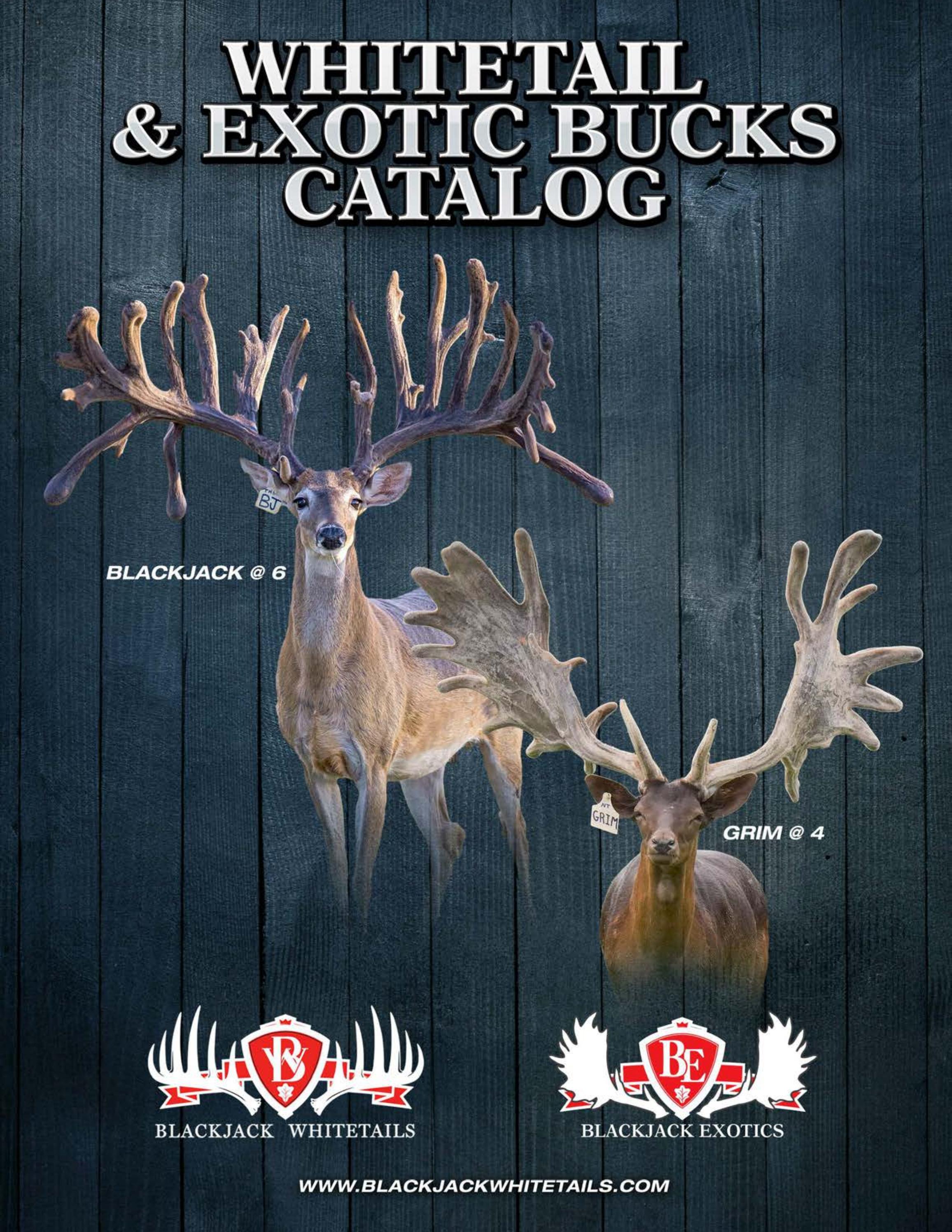 Blackjack Whitetails & Exotics Catalog by VMG Publishing Issuu