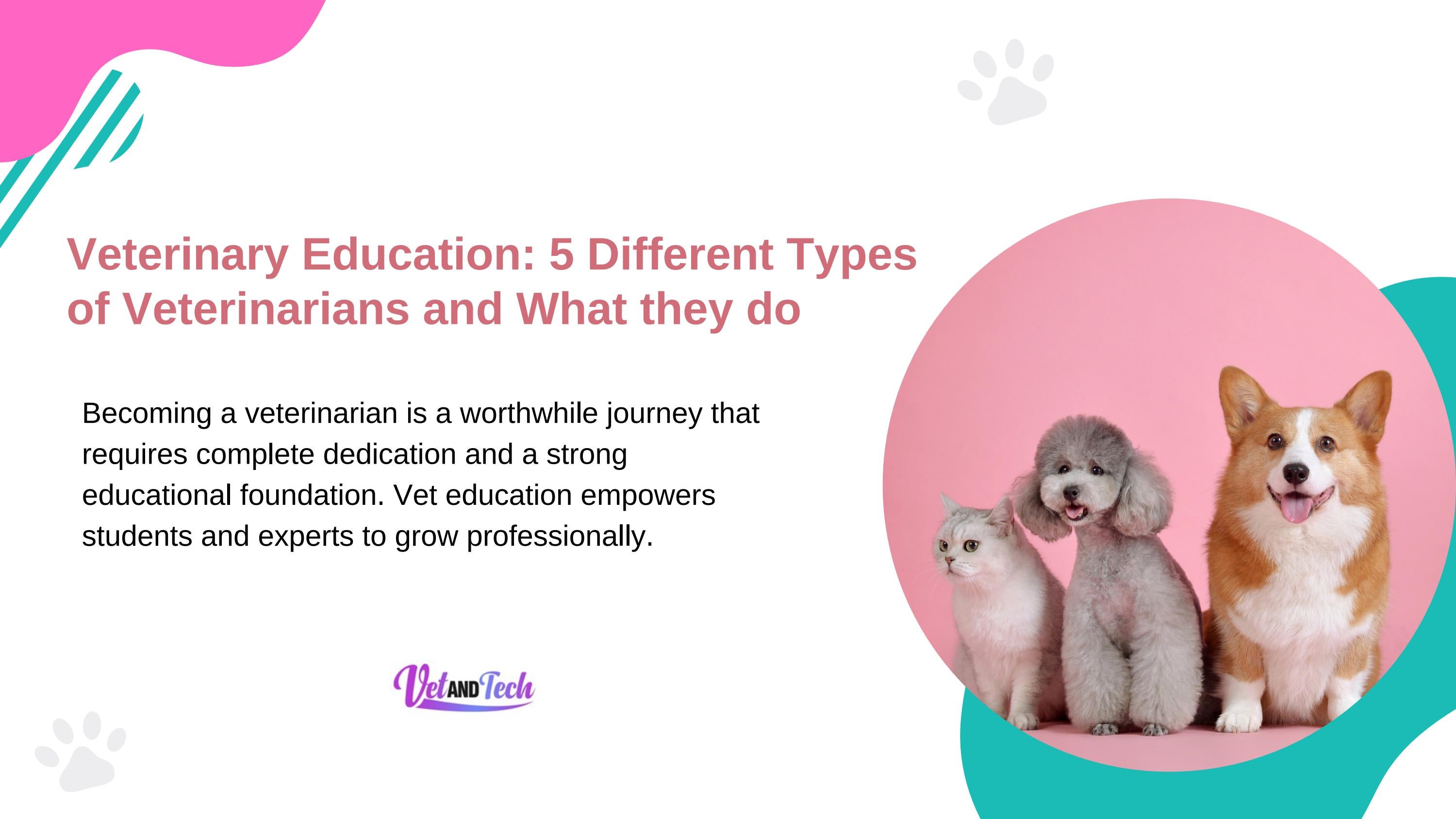 5 Different Types of Veterinarians and What they do by Veterinary
