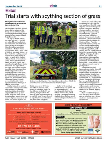 Page 31