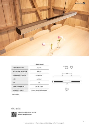 LTS Timba Holzleuchten 第 11 页