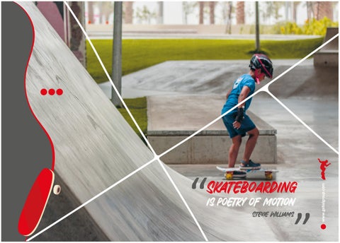 Skate Park 家具手册 2023 第 3 页