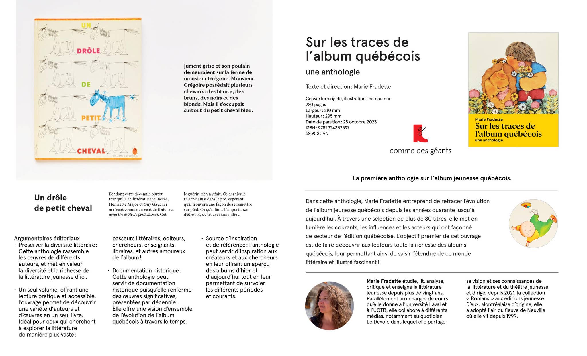 Sur les traces de l'album québécois, une anthologie - fiche descriptive