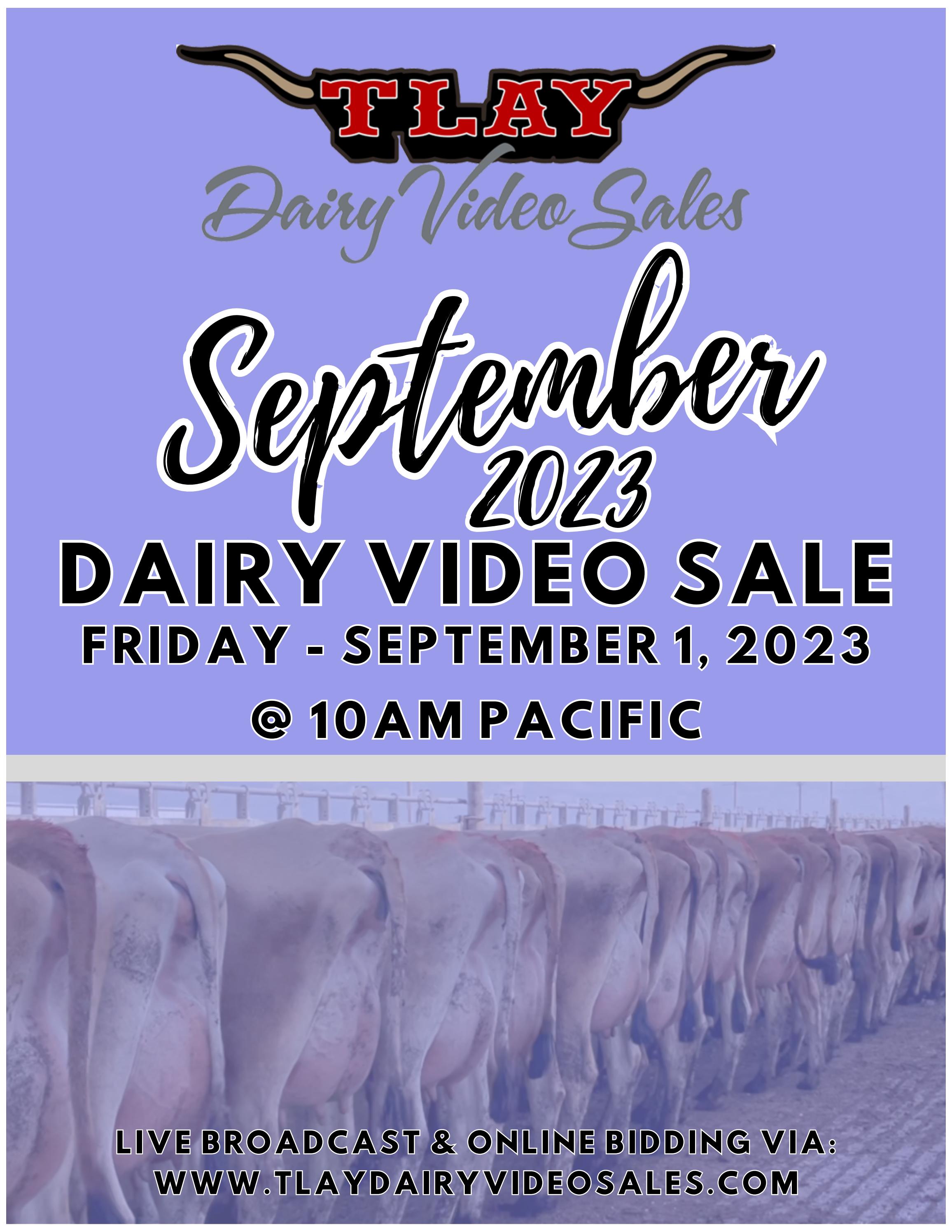 SEPTEMBER 2023 DVS by TURLOCK LIVESTOCK AUCTION YARD Issuu