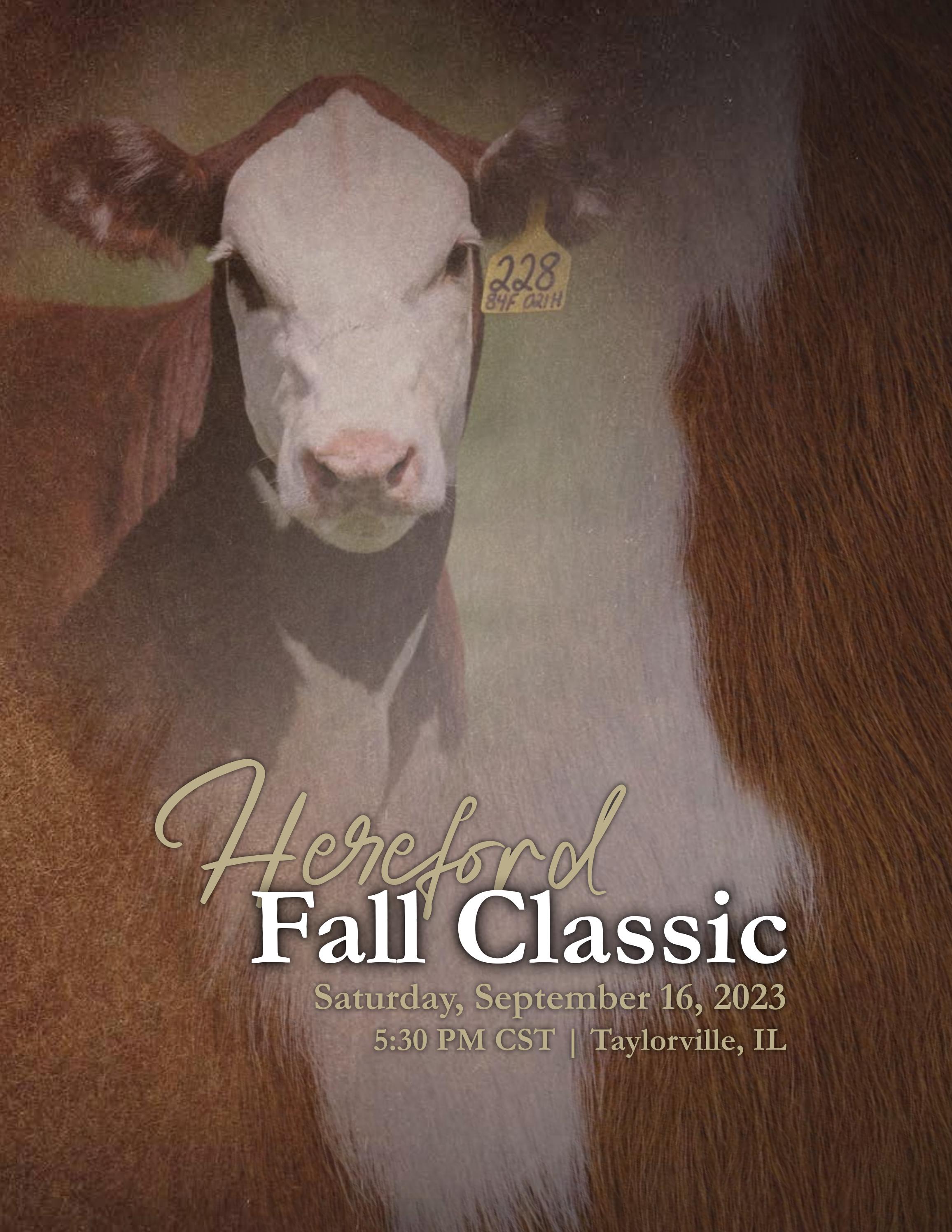 2023 Hereford Fall Classic Sale Catalog by Ranch House Designs Issuu