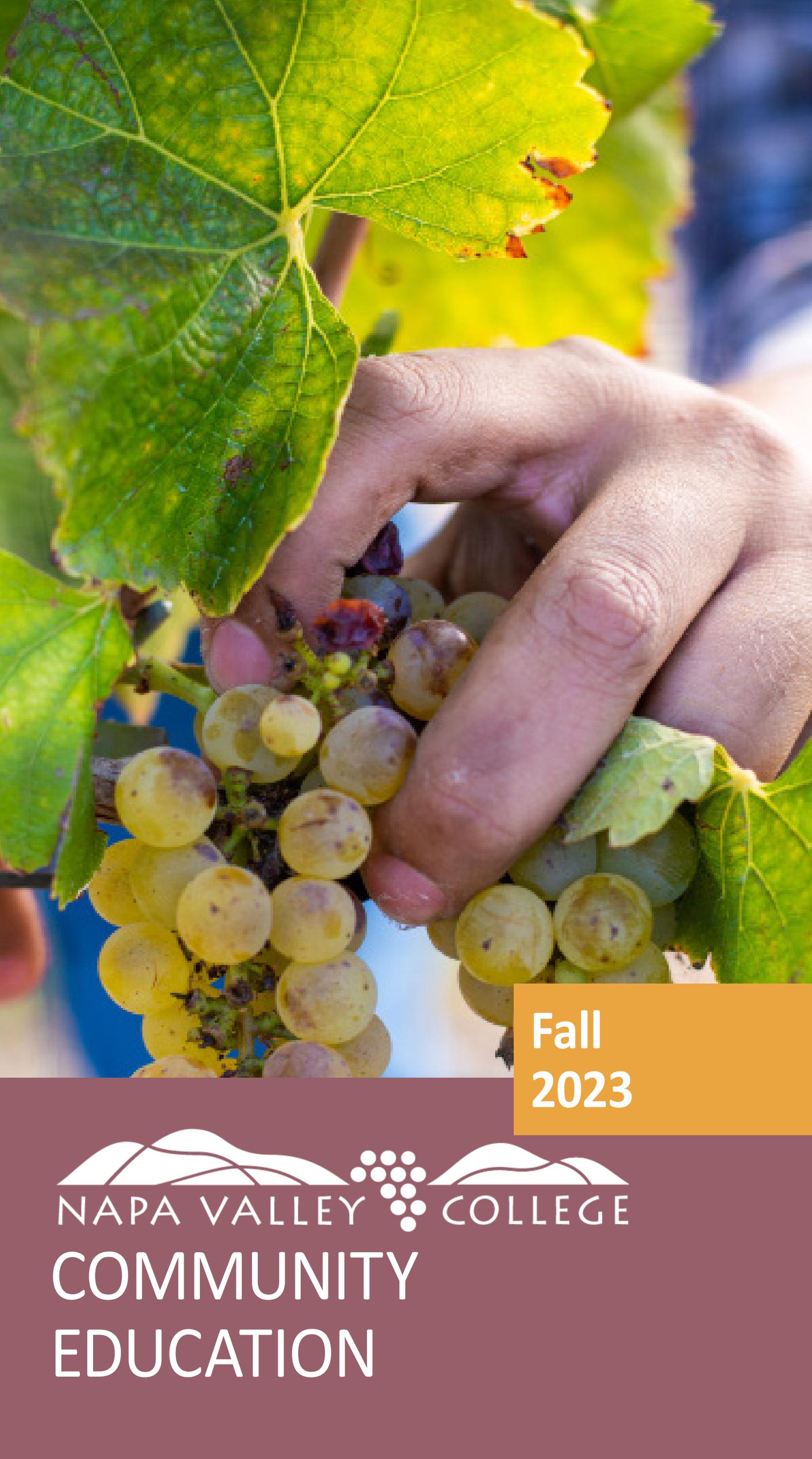 Community Education Catalog 2023 by NapaValleyCollege Issuu