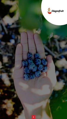 Agrofuturo 2023 第 5 页