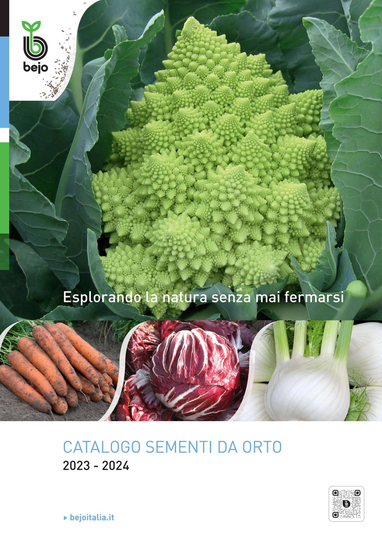 Catalogo Bejo 2023-2024 by Bejo Zaden - Issuu