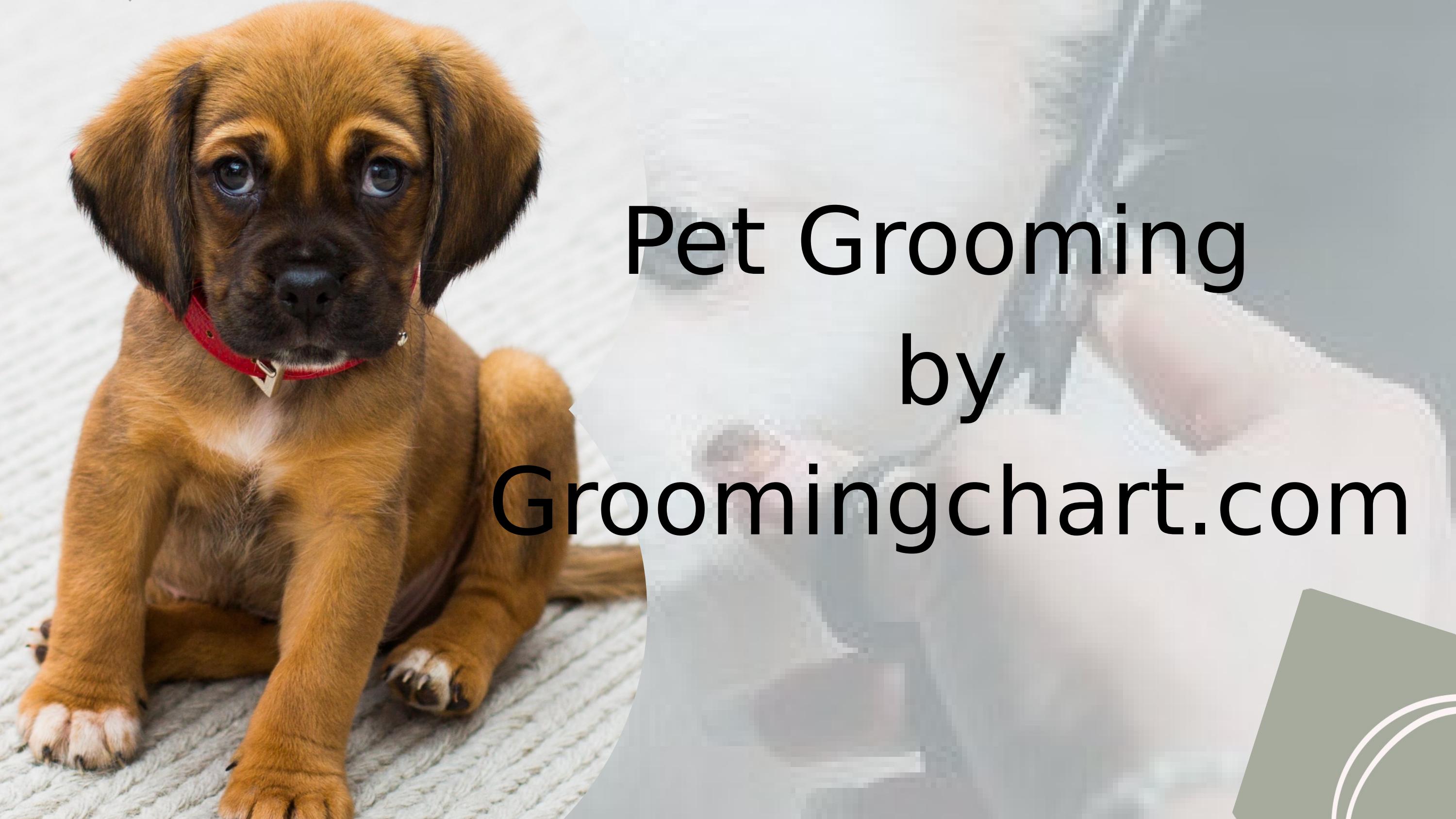 Finally Revealed! The Meaning Of Grooming Note 4F Tb - r8w3kp9