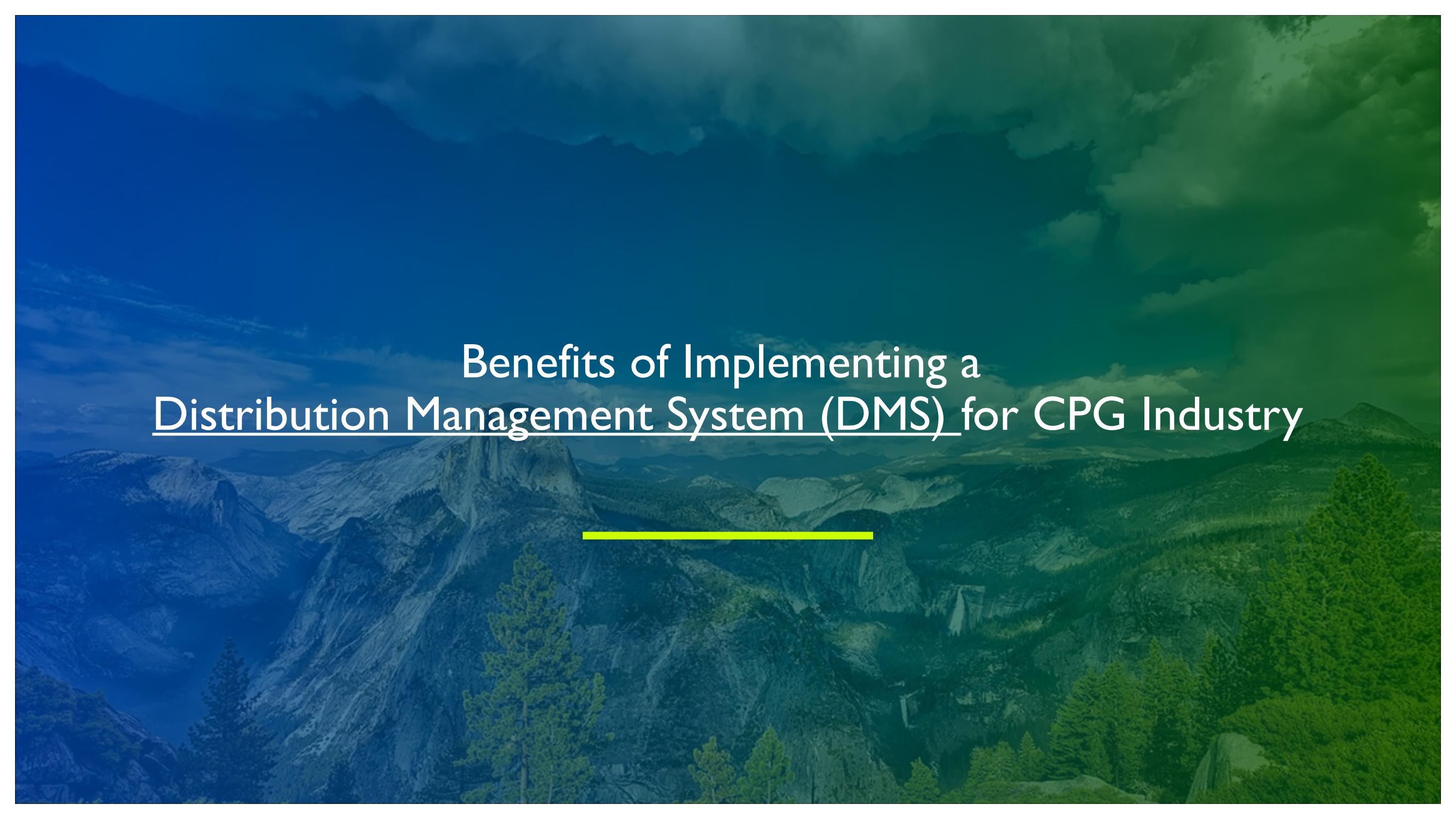 Benefits of Implementing a Distribution Management System (DMS) for CPG