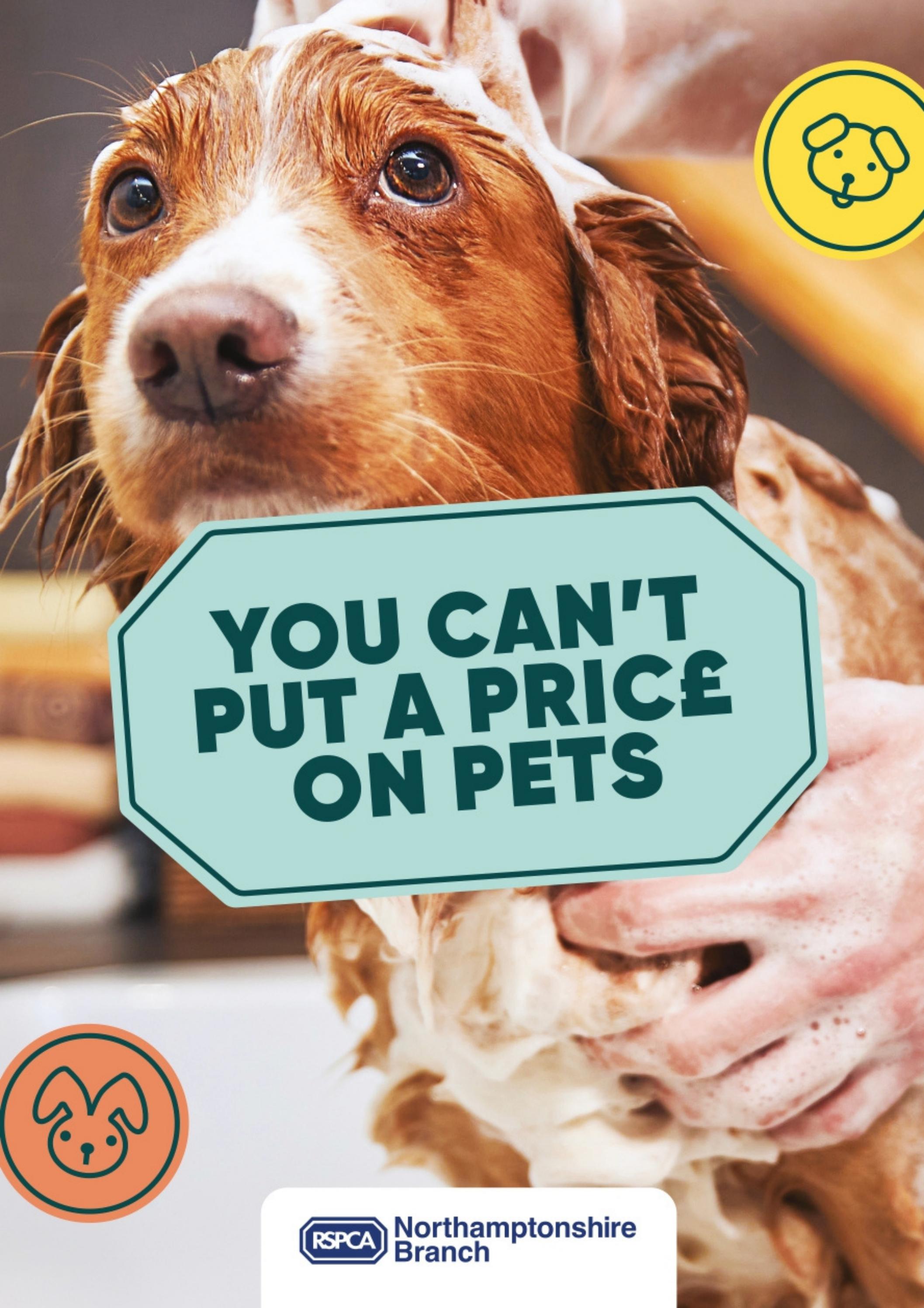 You Can't Put a Price on Pets by rspcanorthamptonshire Issuu