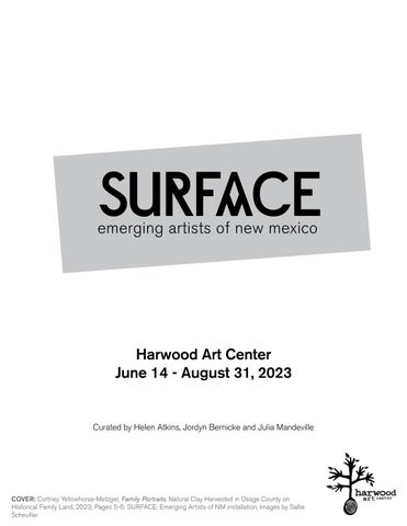 SURFACE - Emerging Artists of NM - Exhibition 灯饰目录 2023 第 2 页