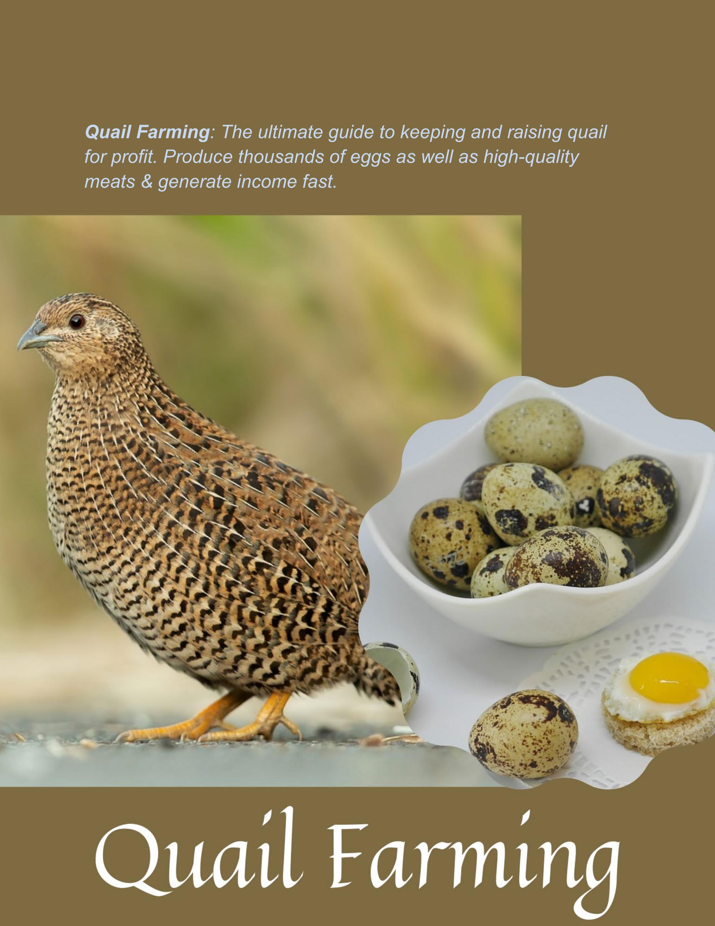 Quail Farming for Profit Beginner to Advanced by AgriFarming Issuu