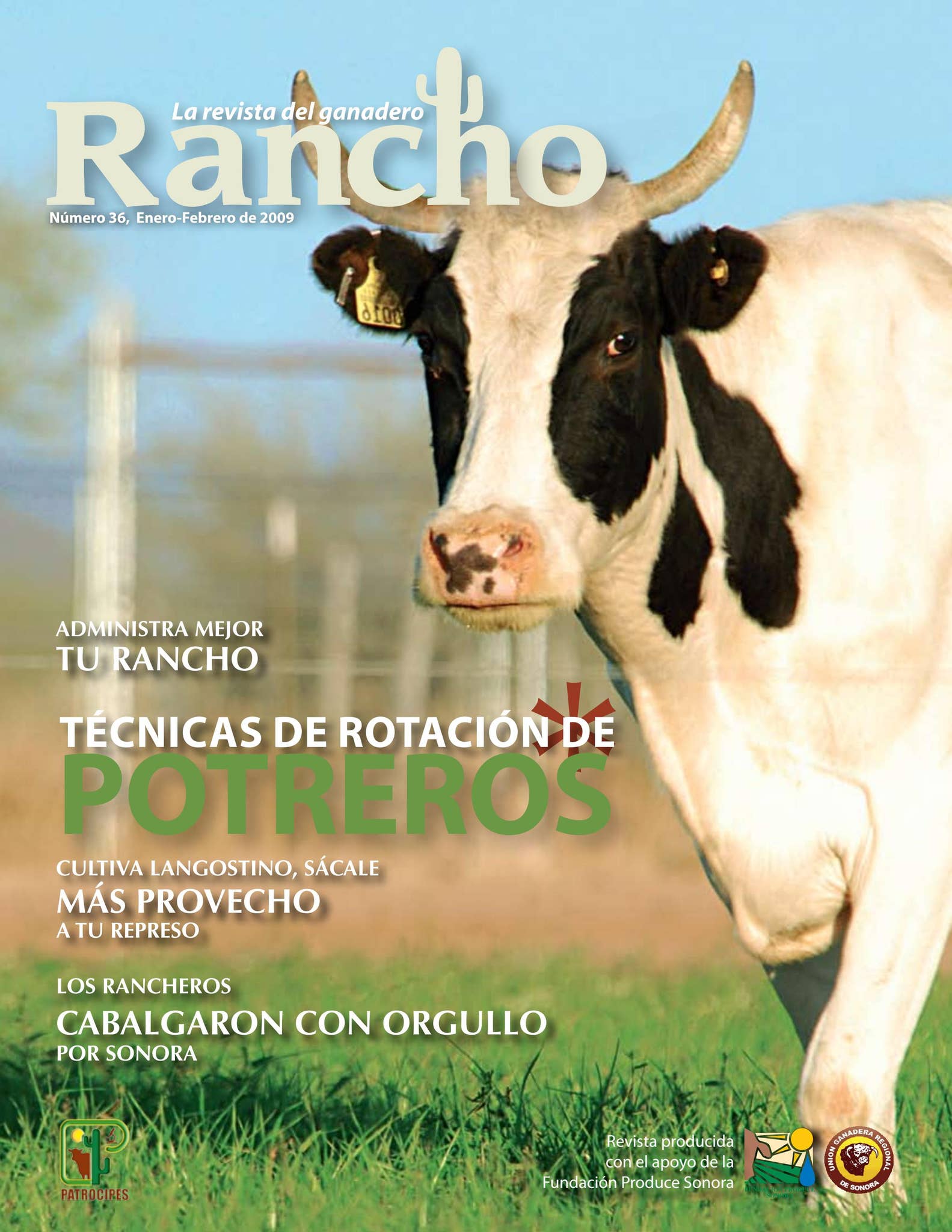 Las Tunas Performance Horses - Rancho oficial de ARIAT serie mundial de  lazada por equipos, image size:1583x2048