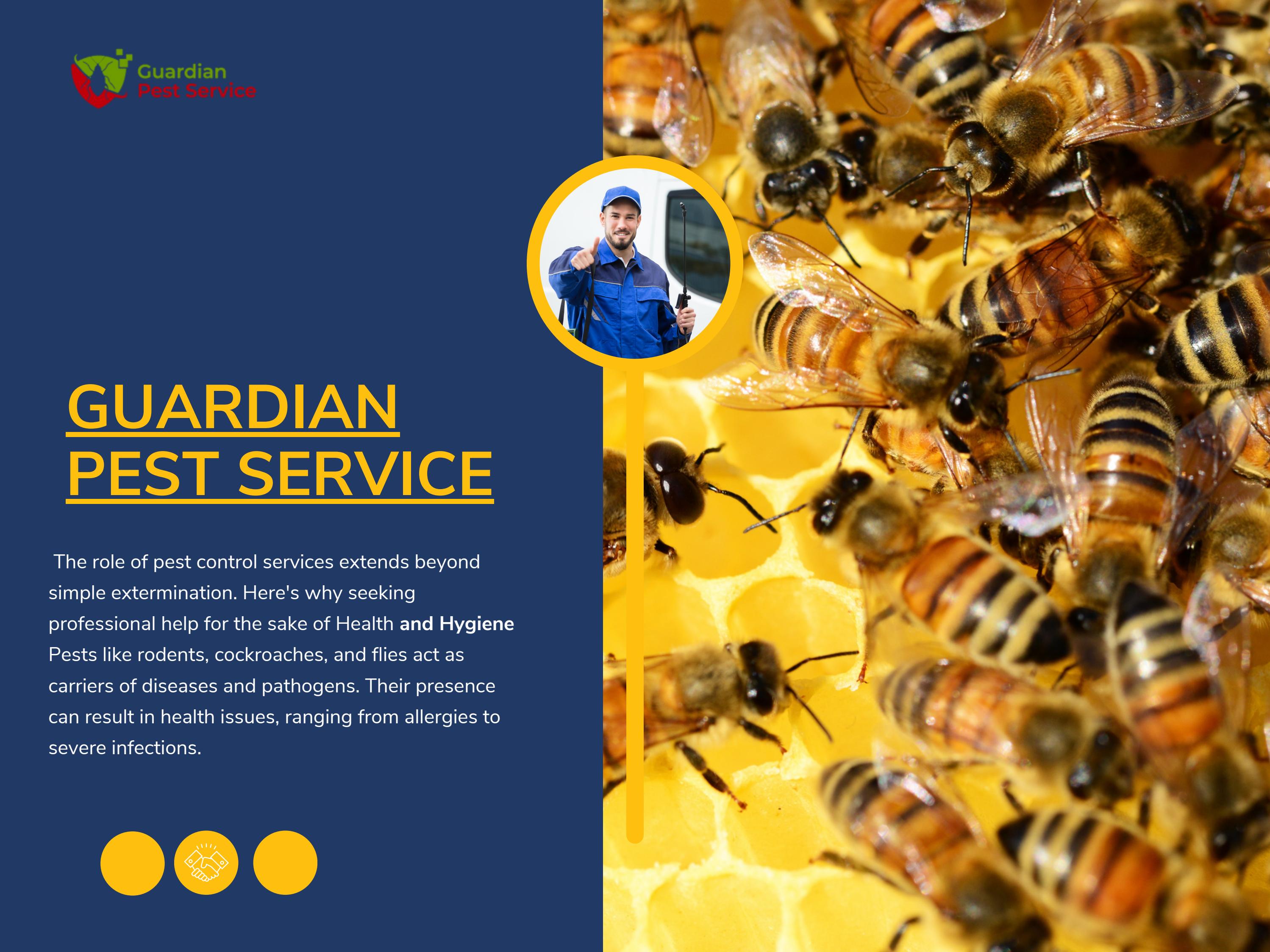 Guardian Pest Service by Laura Smkt Issuu