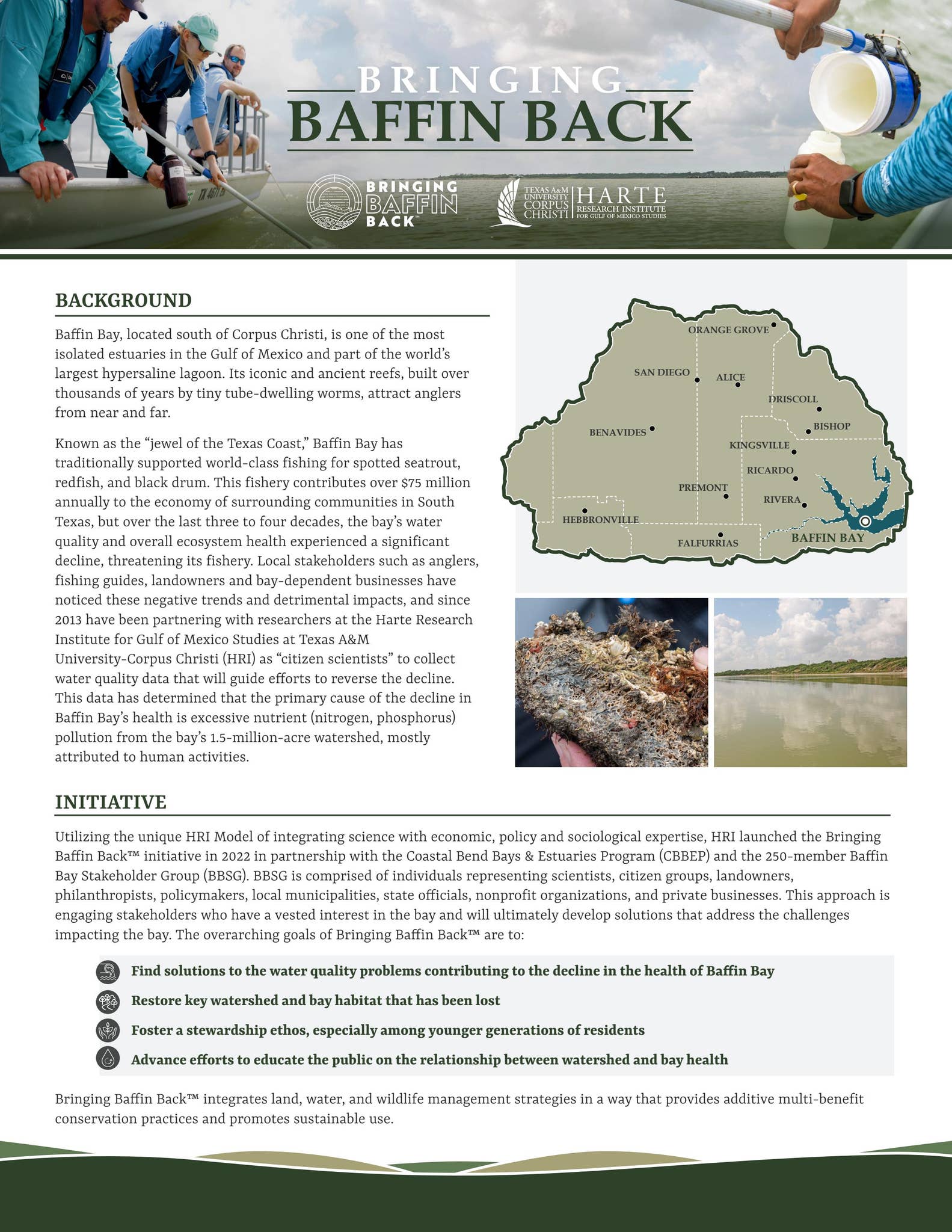Bringing Baffin Back by Harte Research Institute - Issuu