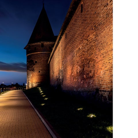Case Study –Illumination of the Castle in Malbork 第 23 页